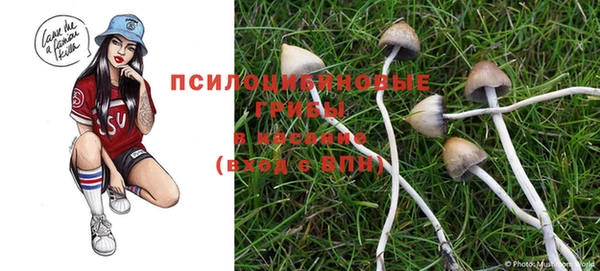 спиды Белоозёрский