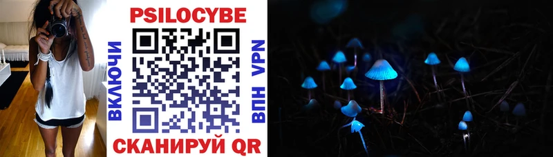 дарк нет Telegram  Салаир  Псилоцибиновые грибы MAGIC MUSHROOMS  где можно купить  